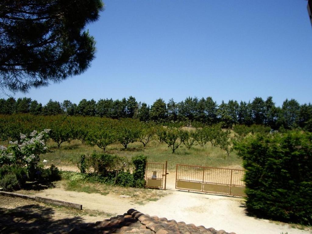 Le Mas Du Ruisseau Bellegarde  Εξωτερικό φωτογραφία