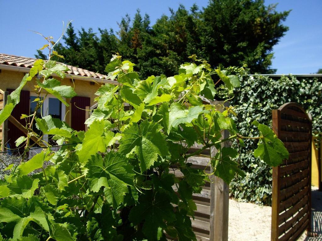 Le Mas Du Ruisseau Bellegarde  Εξωτερικό φωτογραφία